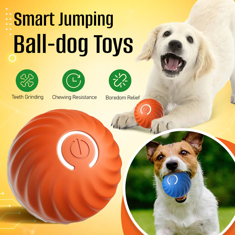 ✨Smart jumping ball-Dog toys🎁teeth grinding, chewing resistance, boredom relief 💥