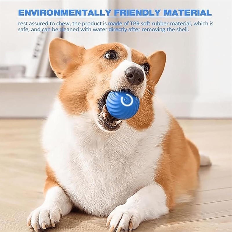 ✨Smart jumping ball-Dog toys🎁teeth grinding, chewing resistance, boredom relief 💥