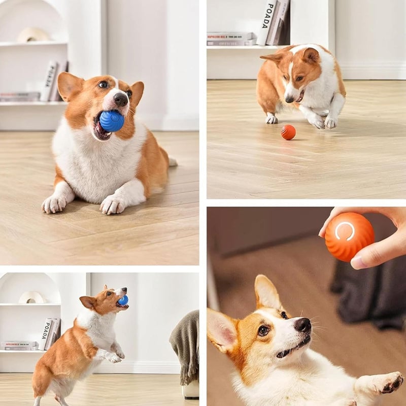 ✨Smart jumping ball-Dog toys🎁teeth grinding, chewing resistance, boredom relief 💥